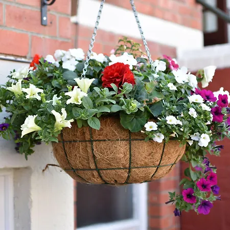 Kenways 스카버러